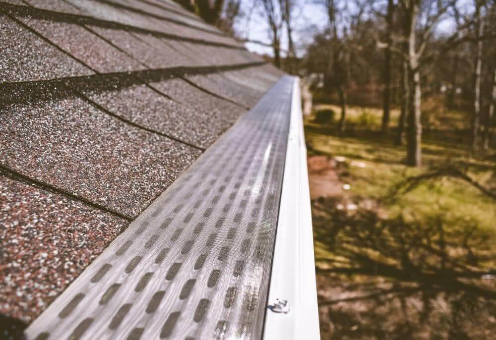Best Gutter Guards for Pine Needles