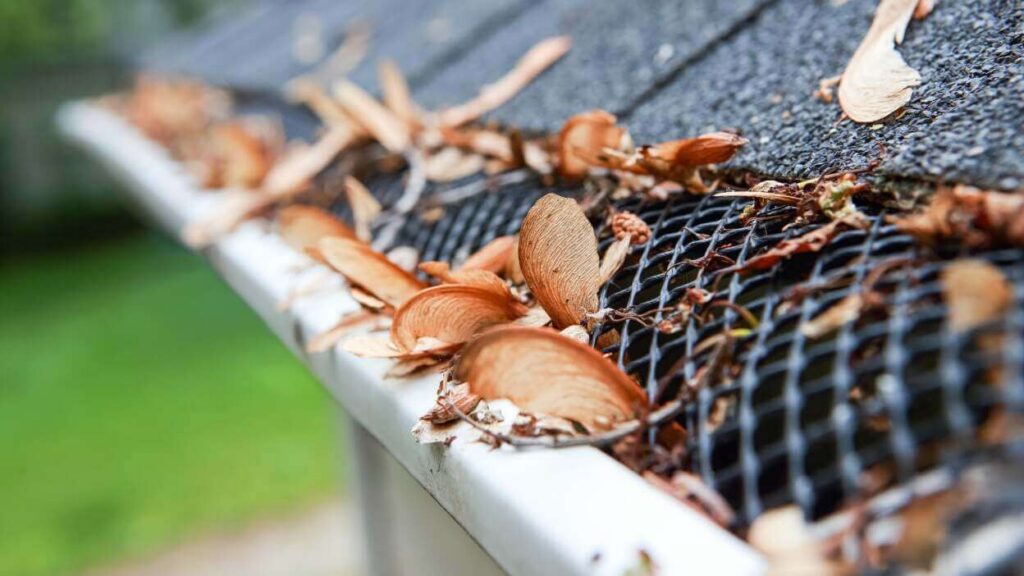 Best Gutter Guards