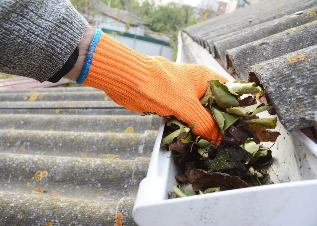 How Tree Debris Impacts Gutters