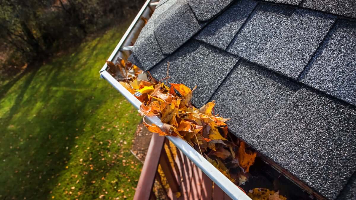 Leaves gathered in a gutter before cleaning