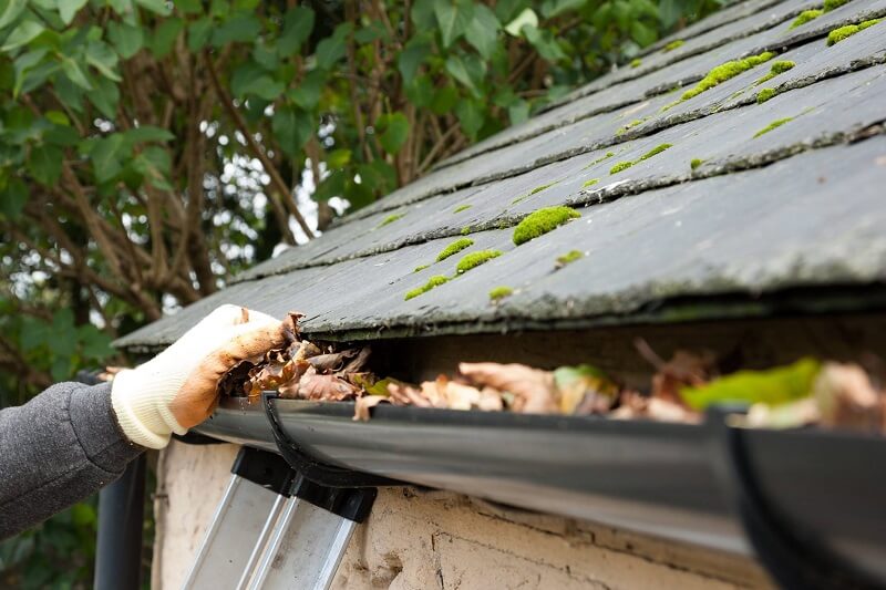 Why Homes Near Trees Need More Gutter Cleaning