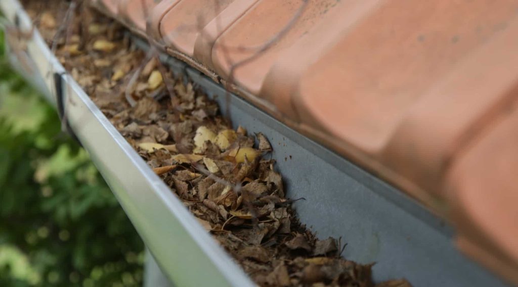 Do You Still Need Gutter Cleaning With Gutter Guards