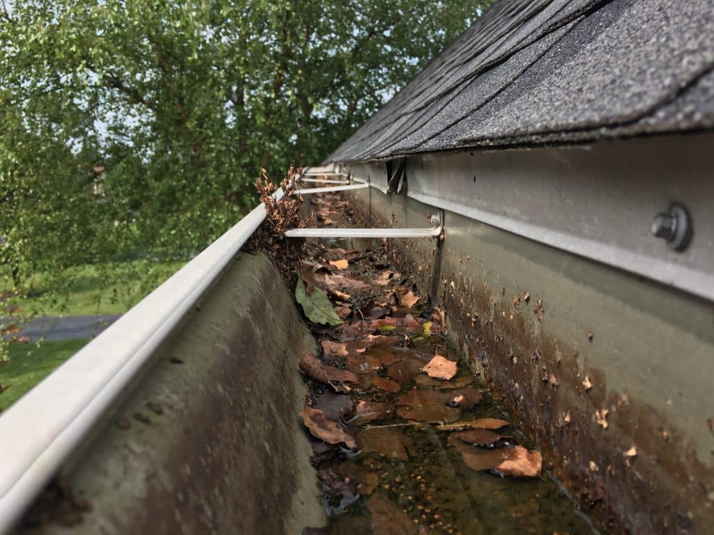 Is professional gutter cleaning worth it