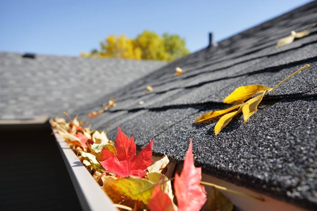 gutter inspection