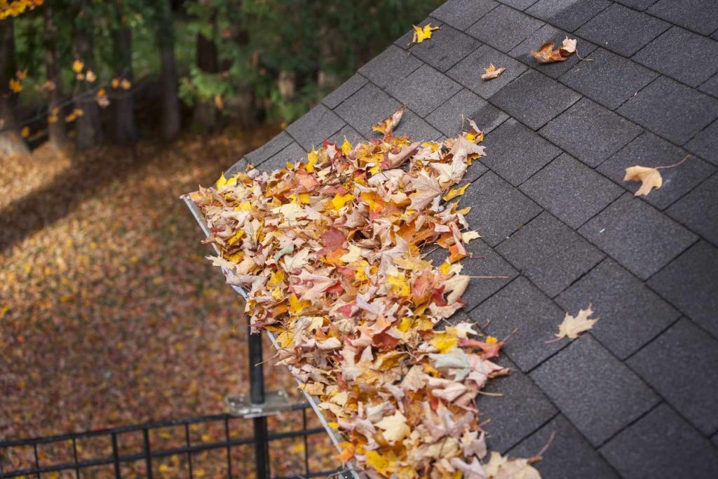 gutters with fall leaves